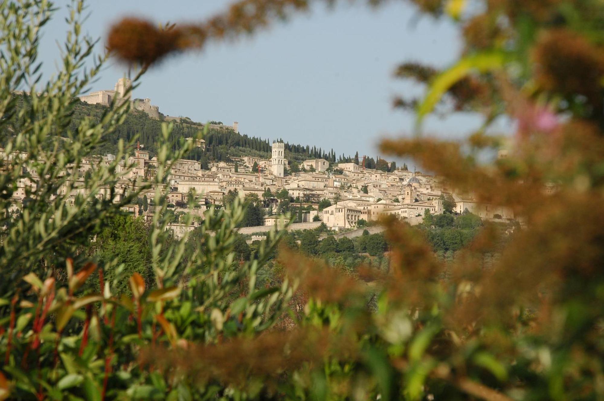 Il Podere Del Falco Assisi Exterior foto